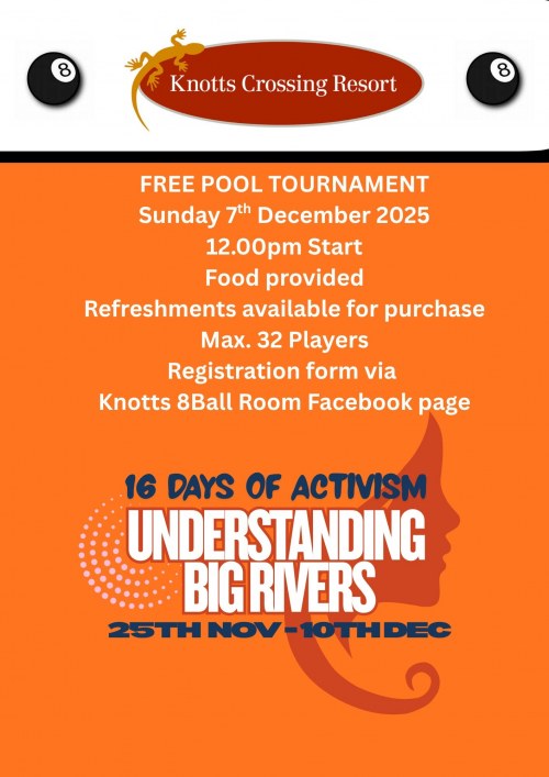 Activism Pool Tournament