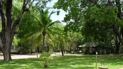 Shady Grounds & Surrounds